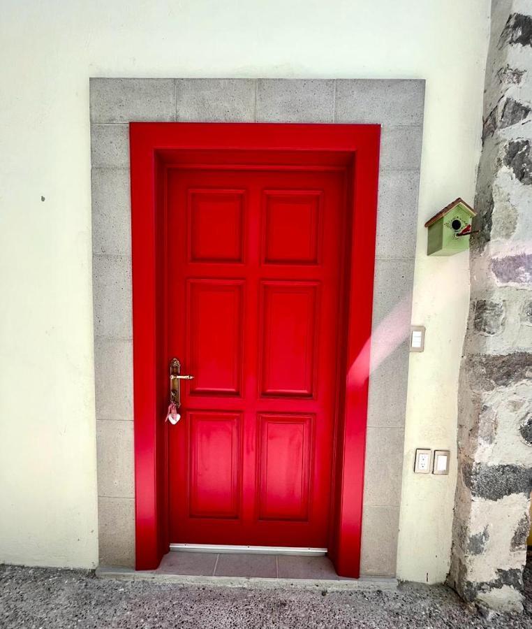 Small Pet Friendly, Pool And Gym Apartment San Miguel de Allende Exteriör bild